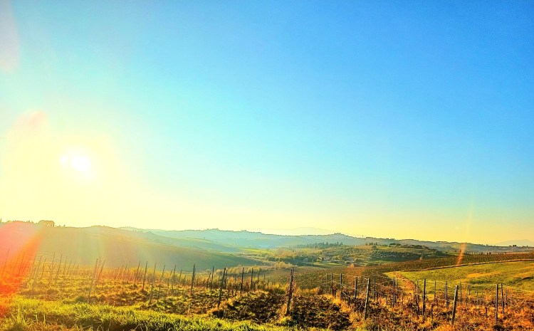 Tuscan countryside near Vinci at sunset, with rolling hills, vineyard rows, and open land under a wide sky.