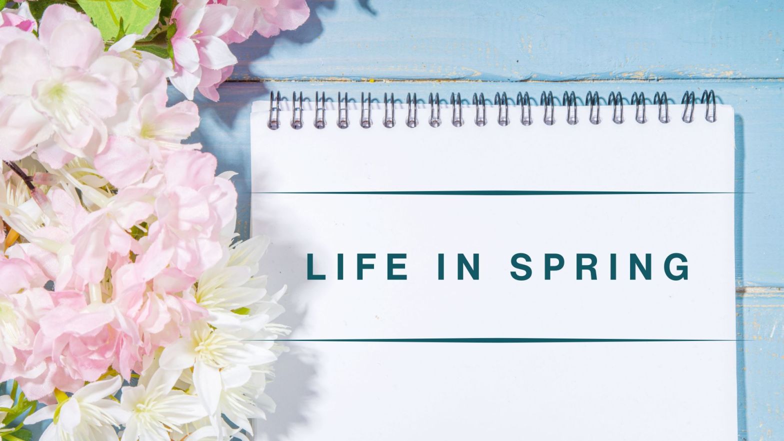 Notebook with the words “Life in Spring” surrounded by soft pink and white blossoms on a light blue wooden background, symbolizing renewal and seasonal reflection.