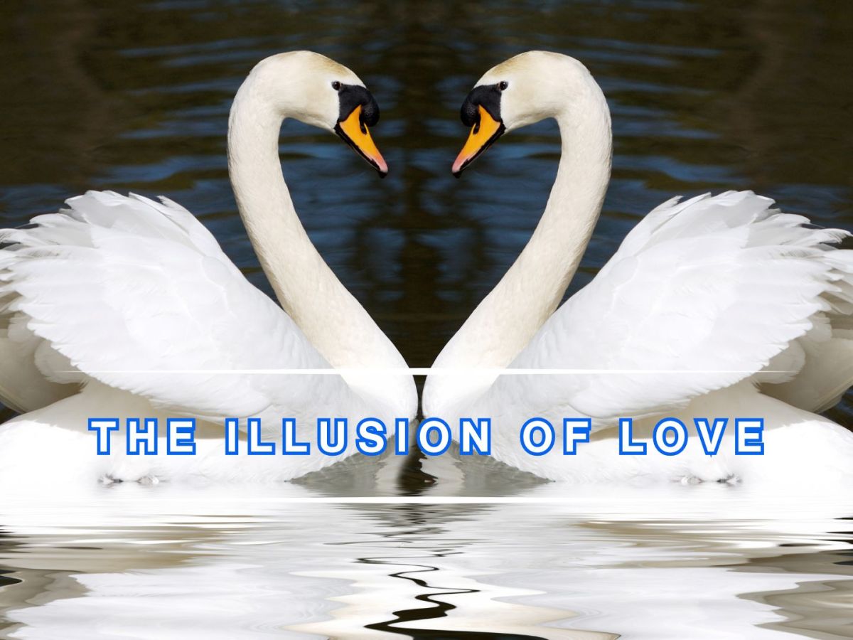THE ILLUSION OF&nbsp;LOVE