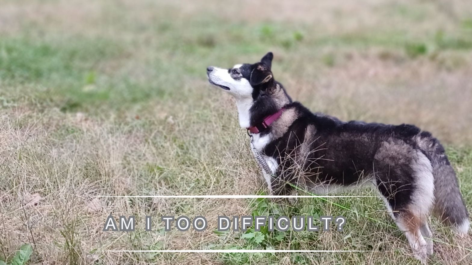 Am I Too Difficult?